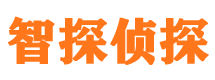 红河市婚外情调查